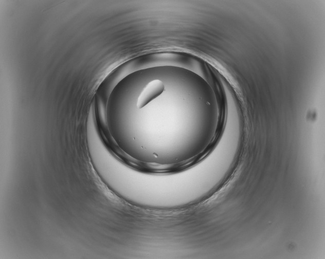 X0000094181289200710261123