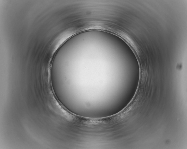 X0000094181290200710261123