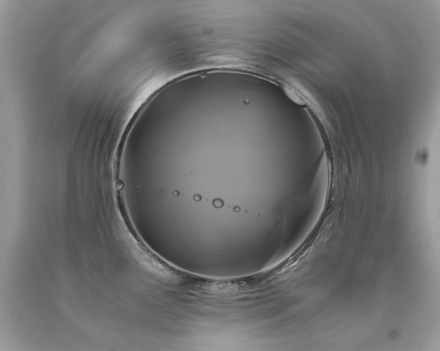 X0000094181291200710261123