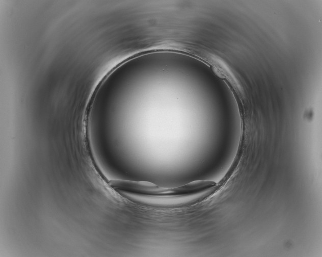 X0000094181292200710261123