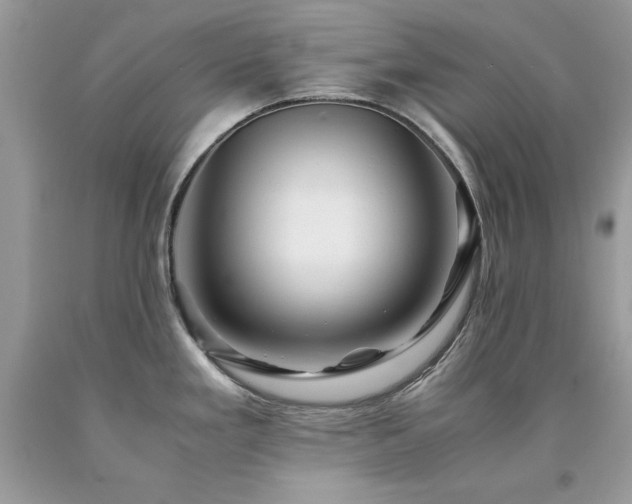 X0000094181293200710261123