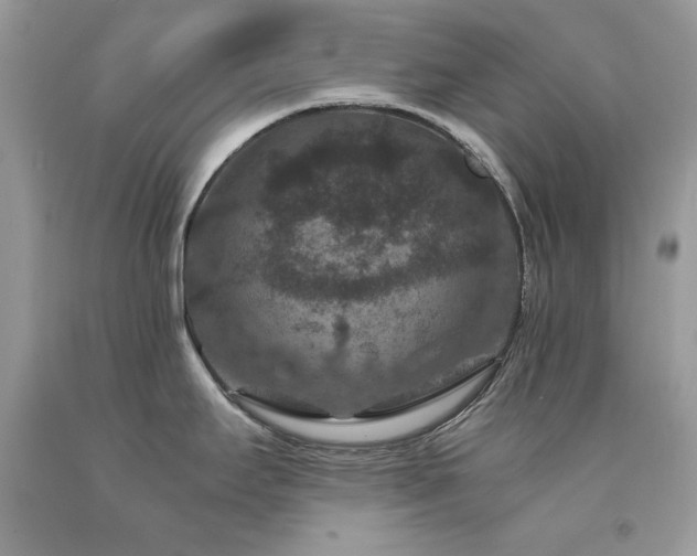 X0000094181295200710261123