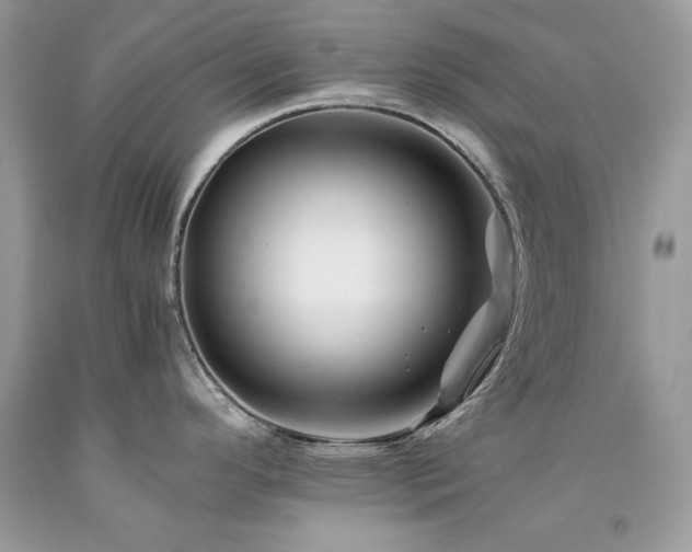 X0000094181296200710261123