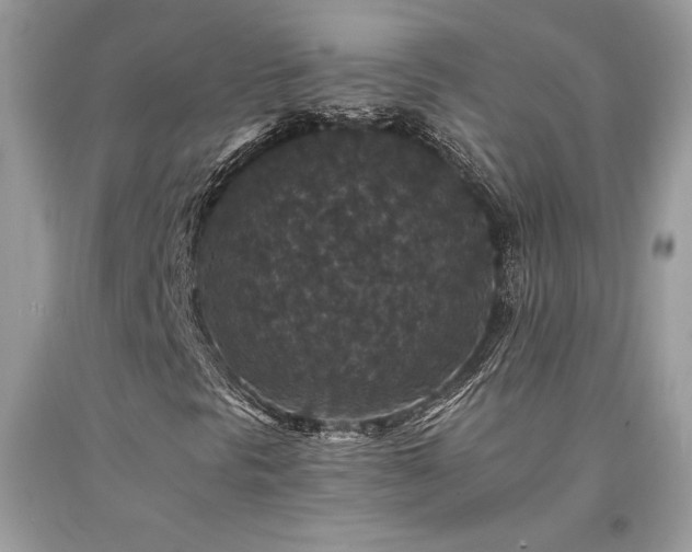 X0000094181297200710261122