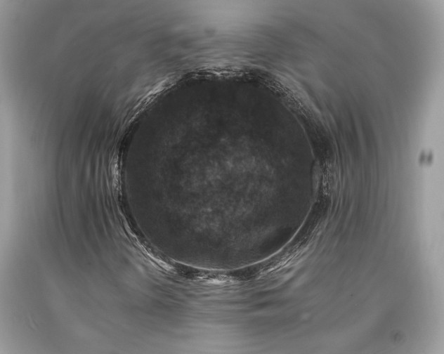 X0000094181298200710261122