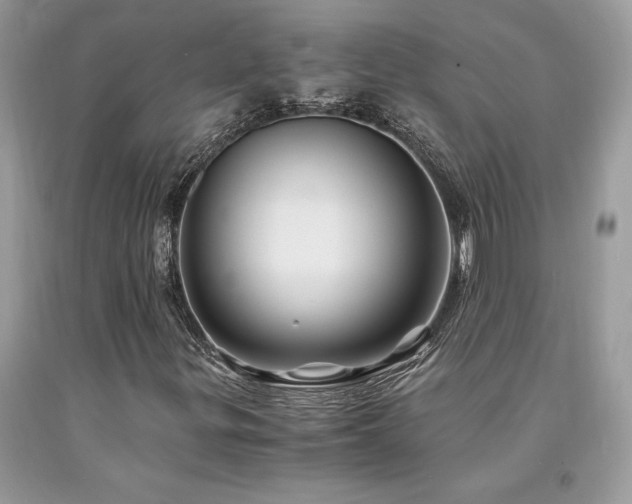 X0000094181299200710261122