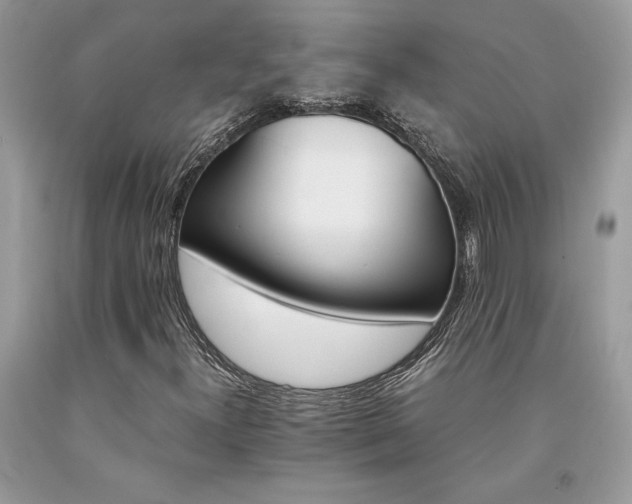 X0000094181300200710261122