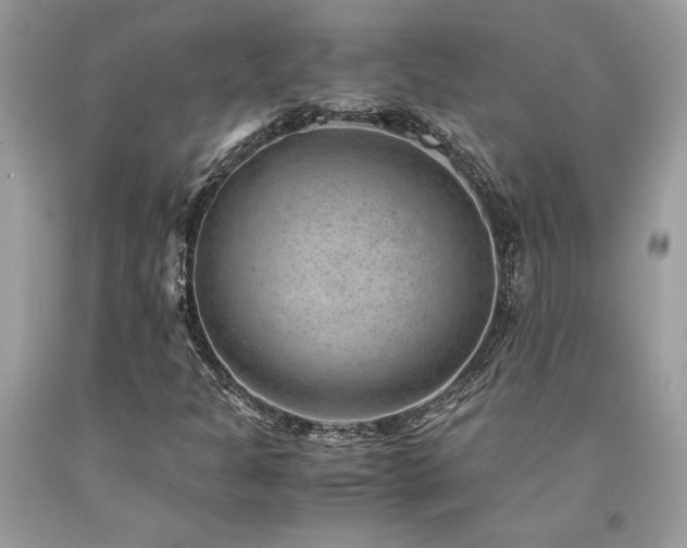 X0000094181301200710261122