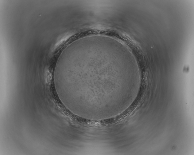 X0000094181302200710261122
