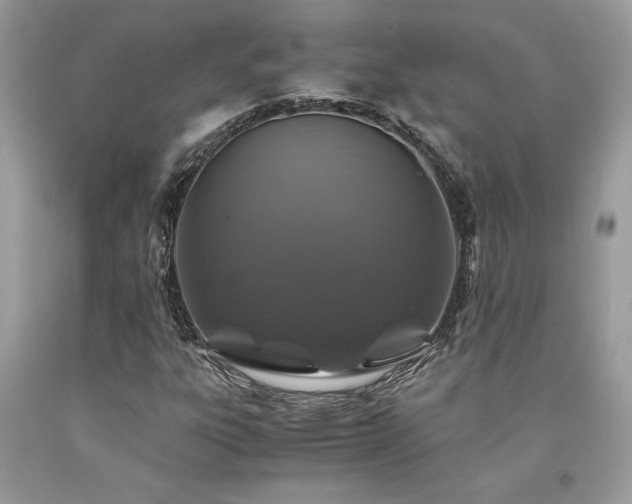 X0000094181303200710261122