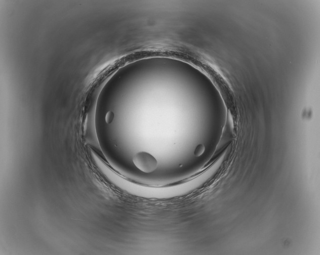 X0000094181304200710261122