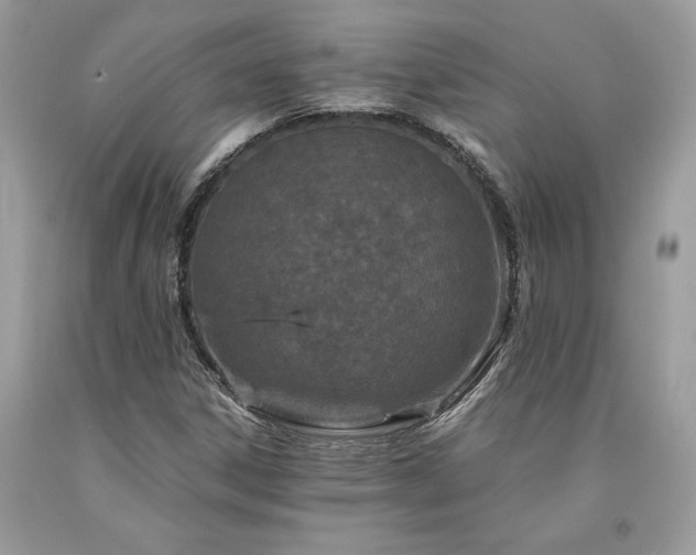 X0000094181306200710261122