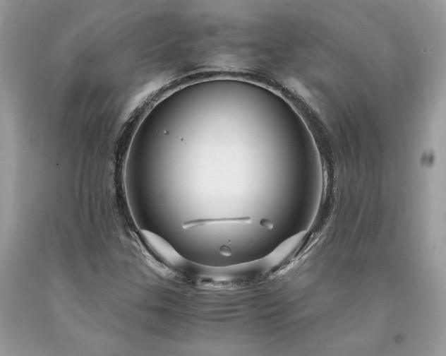 X0000094181307200710261122