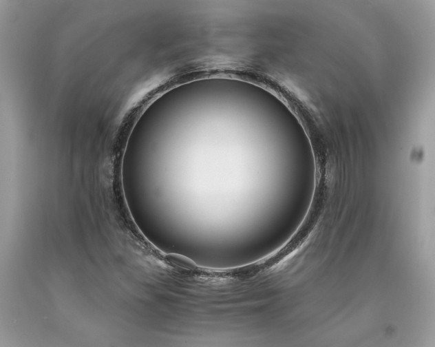X0000094181309200710261122