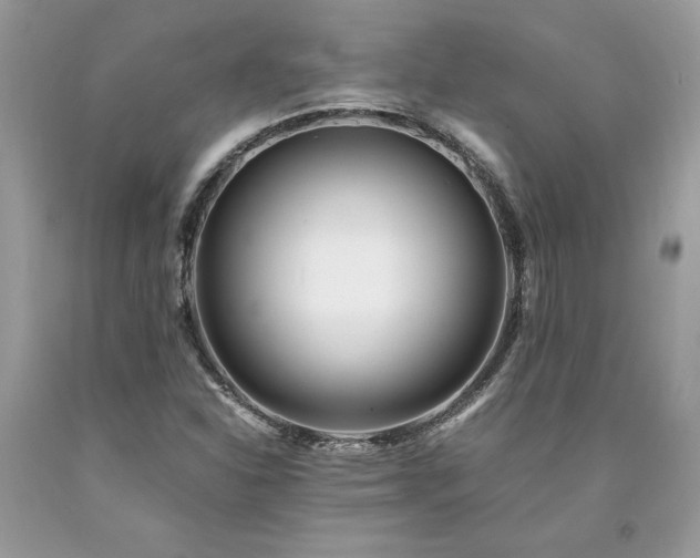 X0000094181310200710261122