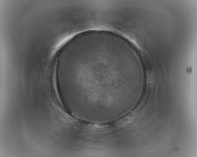 X0000094181311200710261122