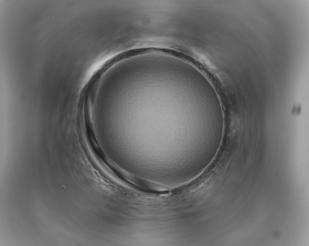 X0000094181312200710261122