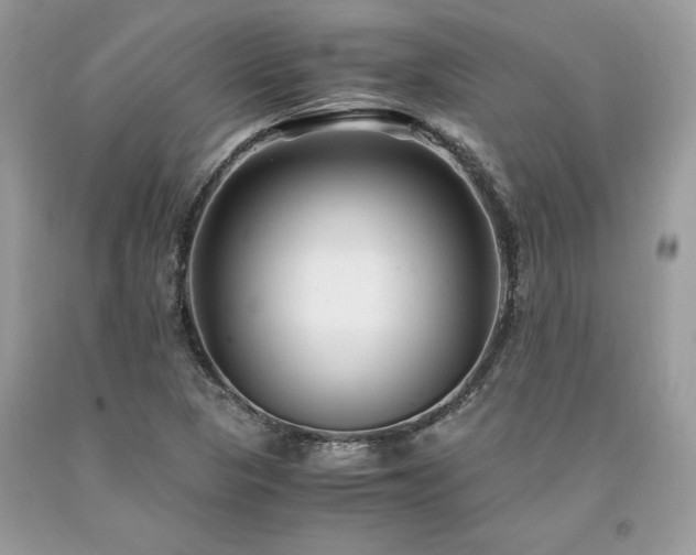 X0000094181313200710261122