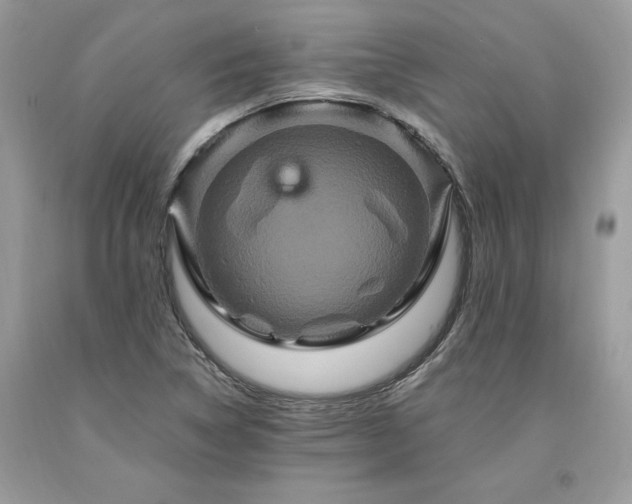 X0000094181314200710261123