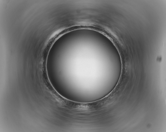 X0000094181315200710261123