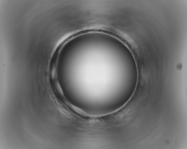 X0000094181316200710261123