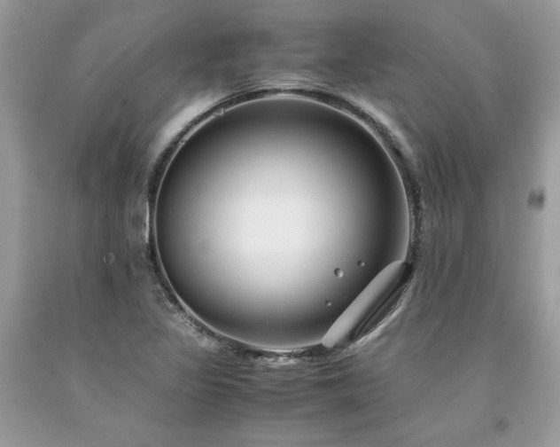 X0000094181317200710261123