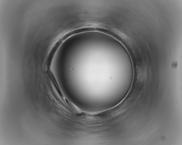 X0000094181318200710261123