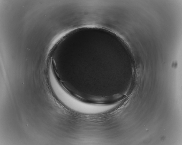 X0000094181319200710261123
