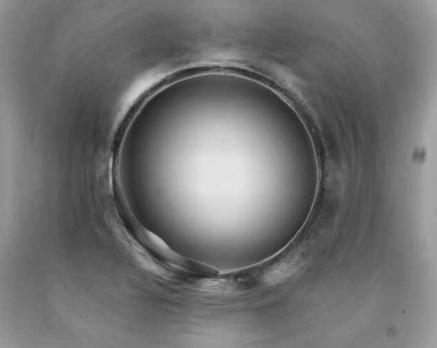 X0000094181320200710261123