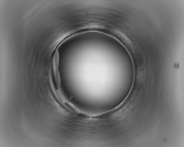X0000094181321200710261123
