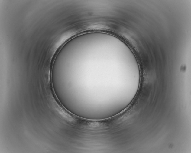 X0000094181322200710261123