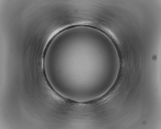 X0000094181324200710261123