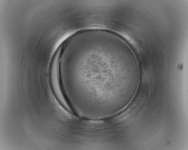X0000094181325200710261123