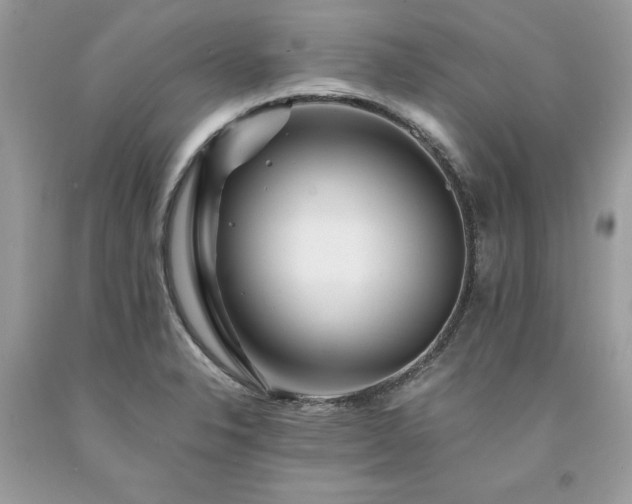 X0000094181326200710261123
