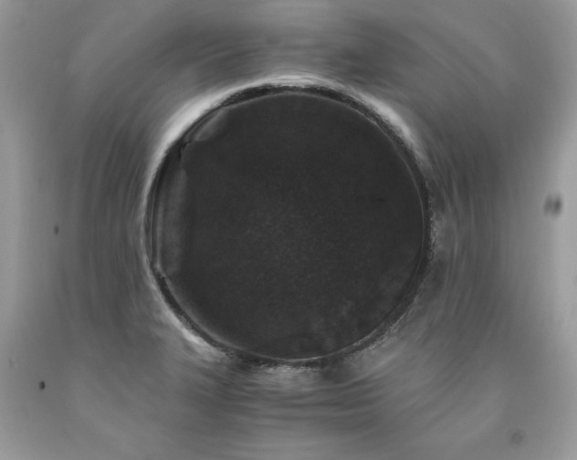 X0000094181327200710261123