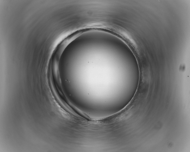 X0000094181328200710261123
