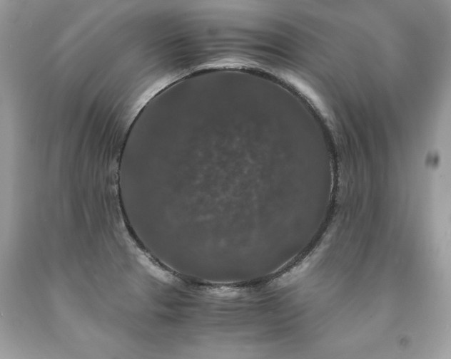 X0000094181329200710261123