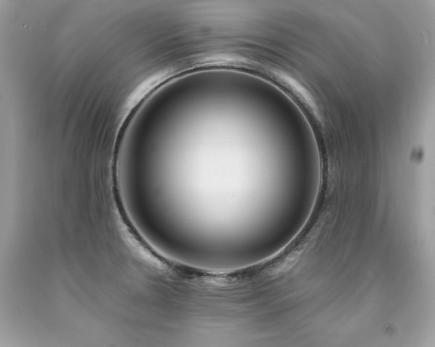 X0000094181330200710261123
