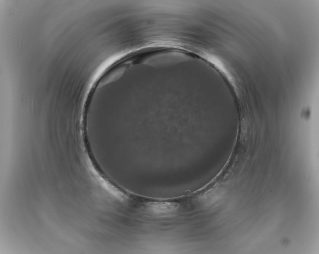 X0000094181331200710261123
