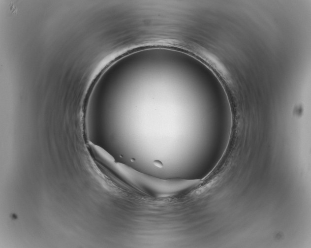 X0000094181332200710261123