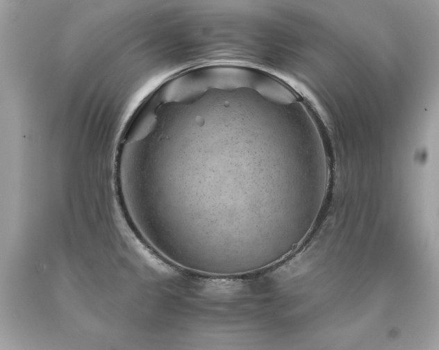 X0000094181333200710261123
