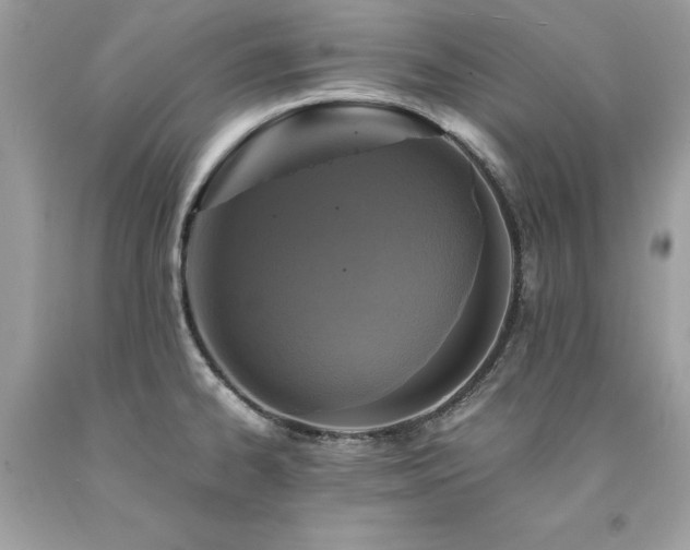 X0000094181334200710261123