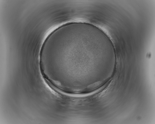 X0000094181335200710261123