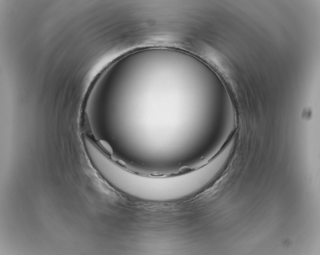X0000094181336200710261123