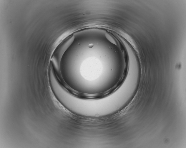 X0000094181338200710261123