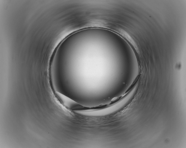 X0000094181339200710261123