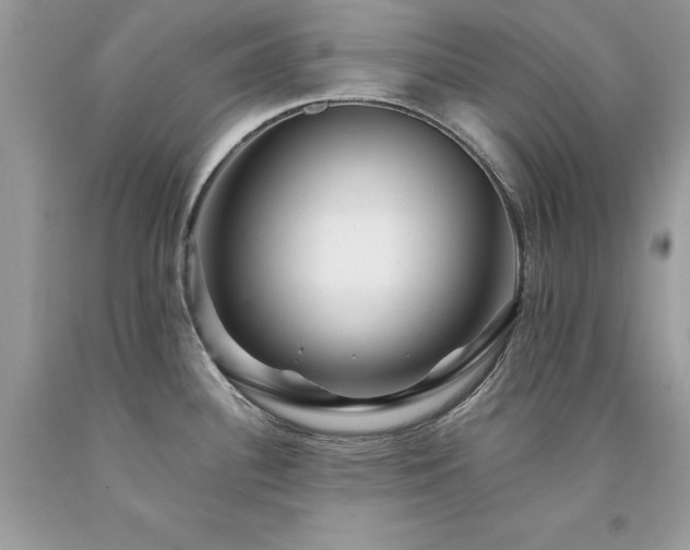 X0000094181340200710261123