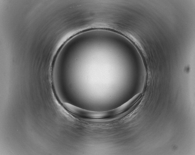 X0000094181342200710261123