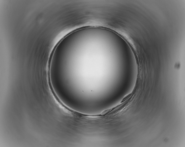 X0000094181343200710261123
