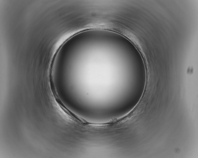 X0000094181344200710261123